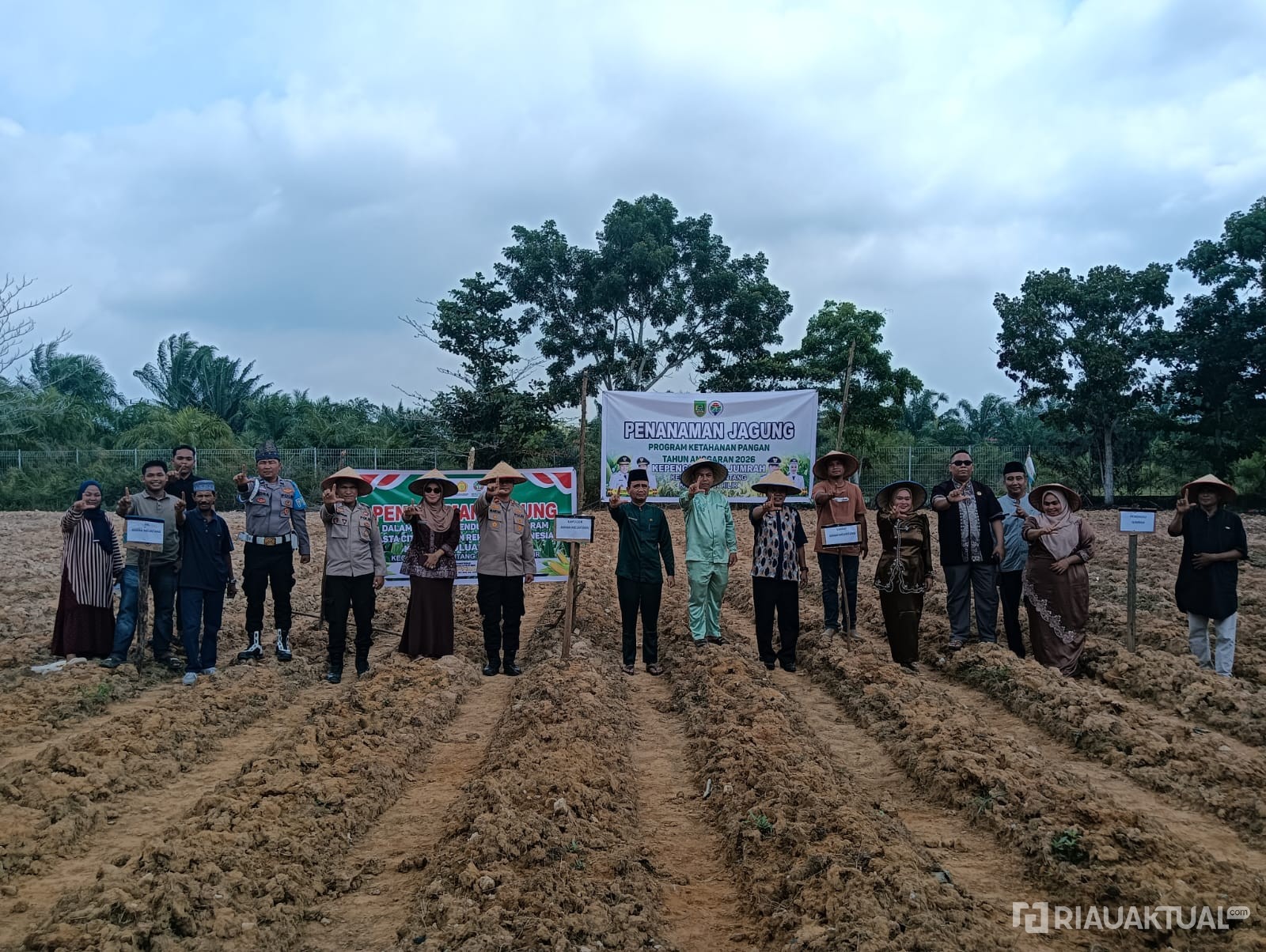 Kapolsek Rimba Melintang Pimpin Penanaman Jagung 1 Hektare untuk Dukung Ketahanan Pangan