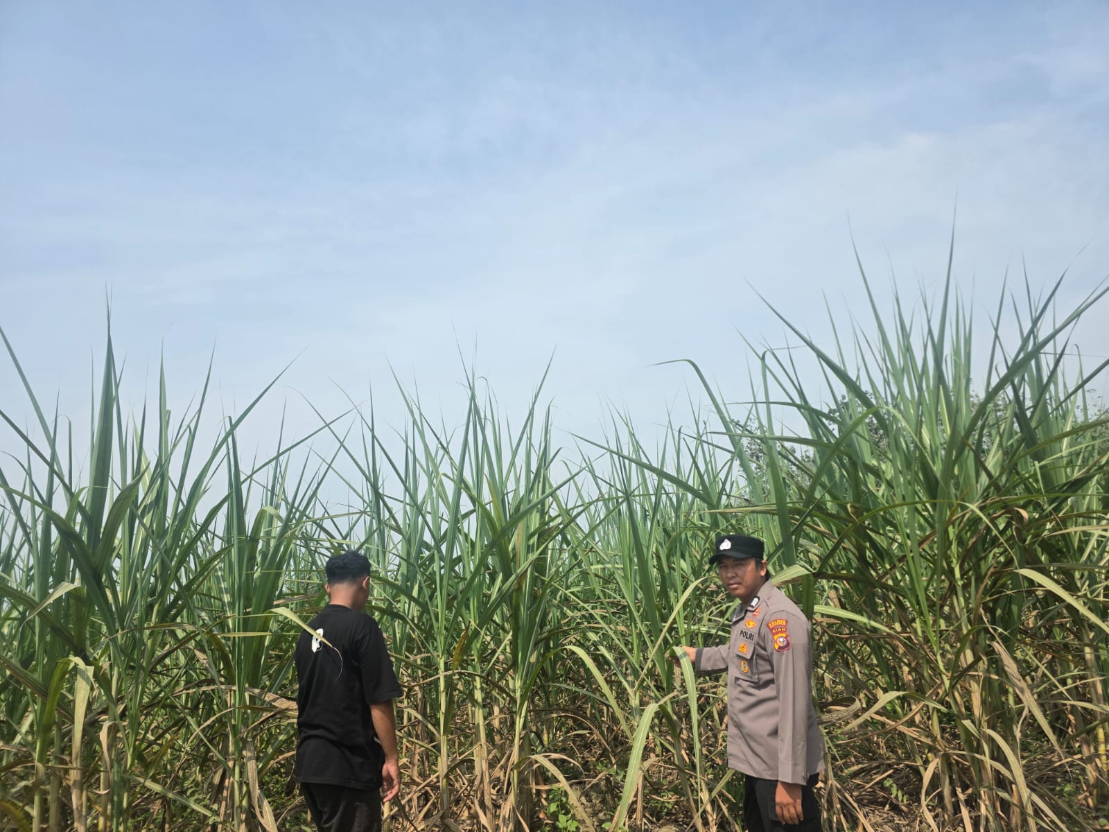 Polsek Bangko Pusako Gencarkan Program Polisi Cinta Petani demi Swasembada Pangan