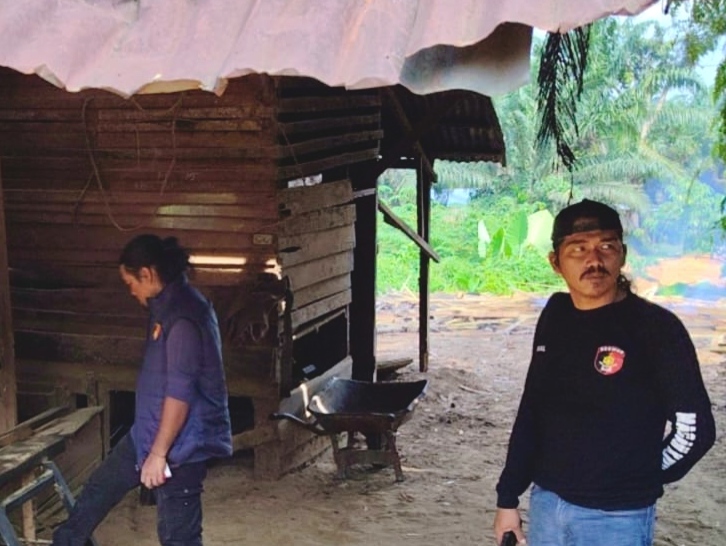 Polisi Temukan Aktivitas Pengolahan Kayu Diduga Hasil Illegal Logging di Kuansing