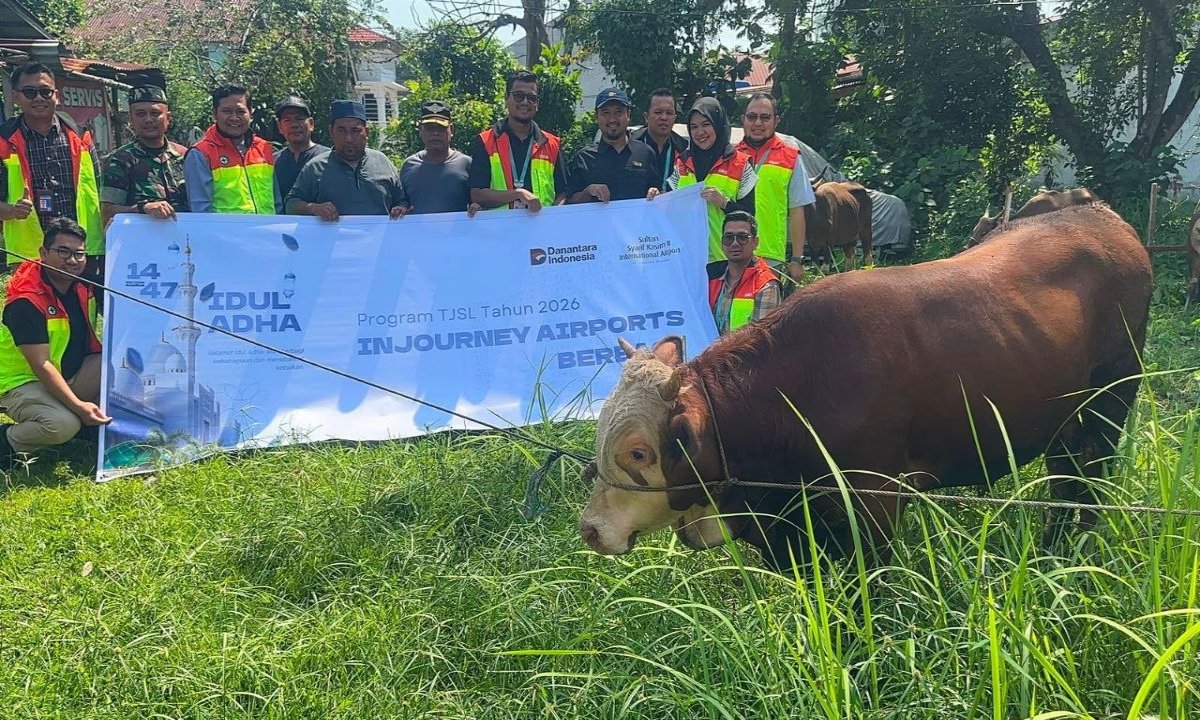 Melalui Program TJSL Berbagi Iduladha 1447 Hijriah, Bandara SSK II Salurkan Bantuan Dua Ekor Sapi