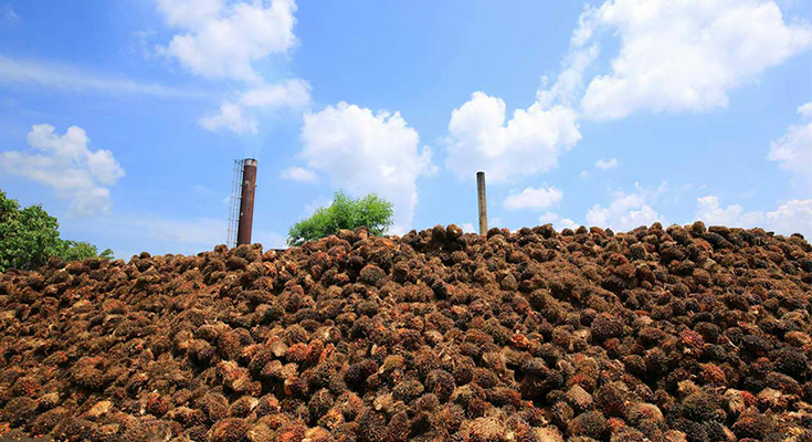 Limbah jadi Energi, Biopelet Jadi Peluang Menggiurkan Bagi UMKM Sawit