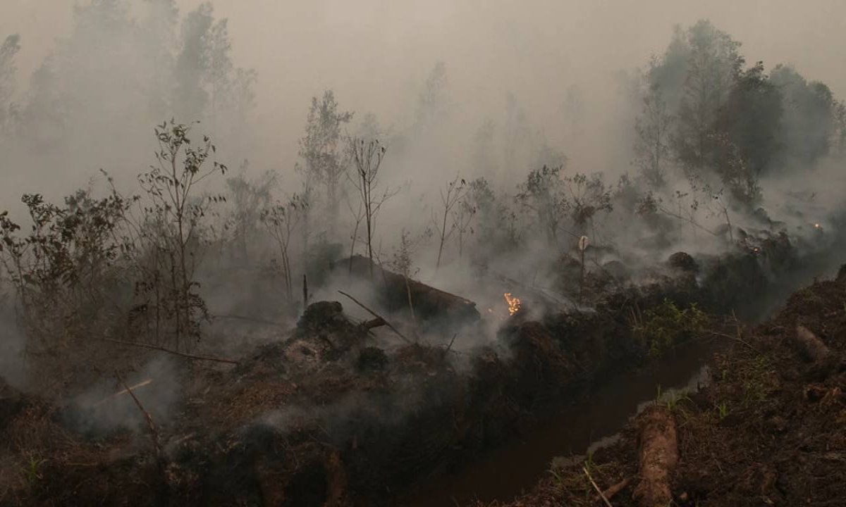 Luas Lahan Terbakar di Riau Bertambah 87,9 Hektare