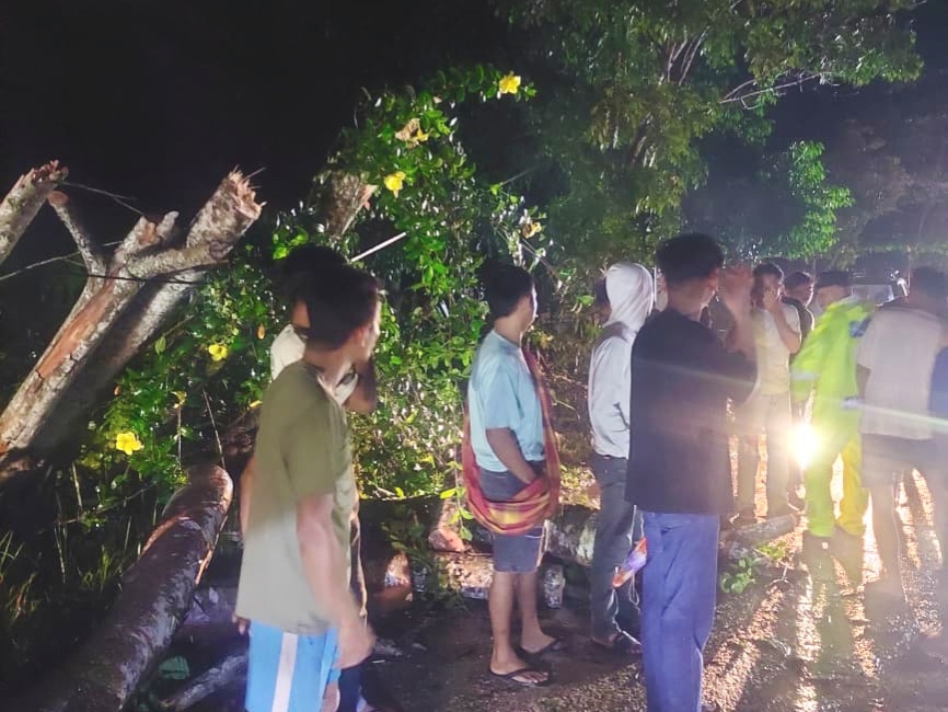 Pohon Tumbang Sempat Tutup Akses Tol XII Koto Kampar - Pekanbaru