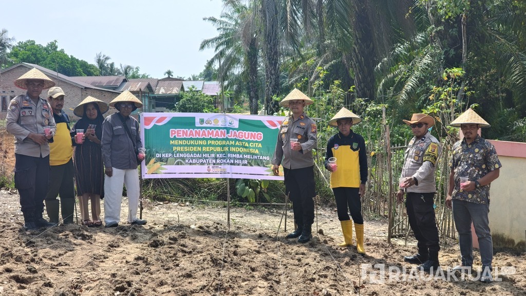 Kapolsek Rimba Melintang Pimpin Penanaman Jagung untuk Ketahanan Pangan 2026