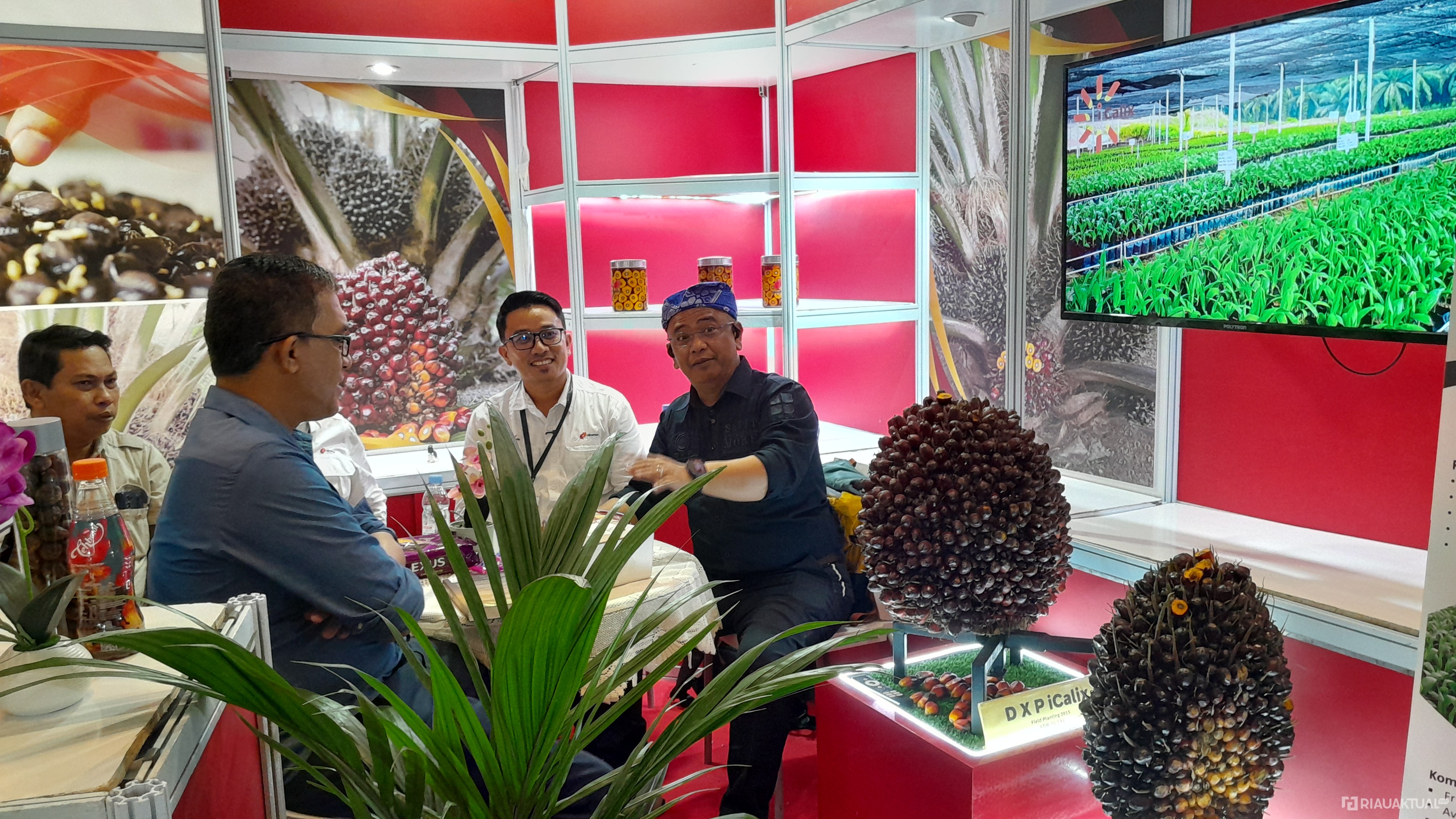 Bibit Sawit Unggul iCalix Minamas Jadi Daya Tarik SIEXPO 2026, Mampu Berproduksi hingga 30 Ton per Hektare