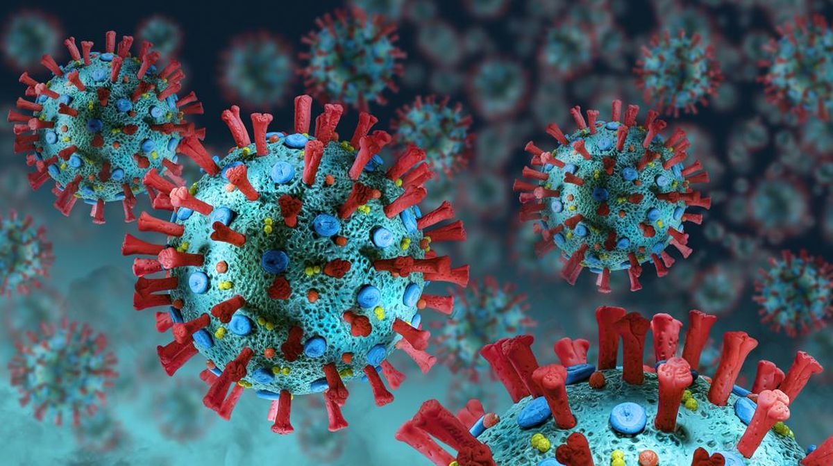 Mengenal Hantavirus yang Diduga Tewaskan 3 Orang di Kapal Pesiar